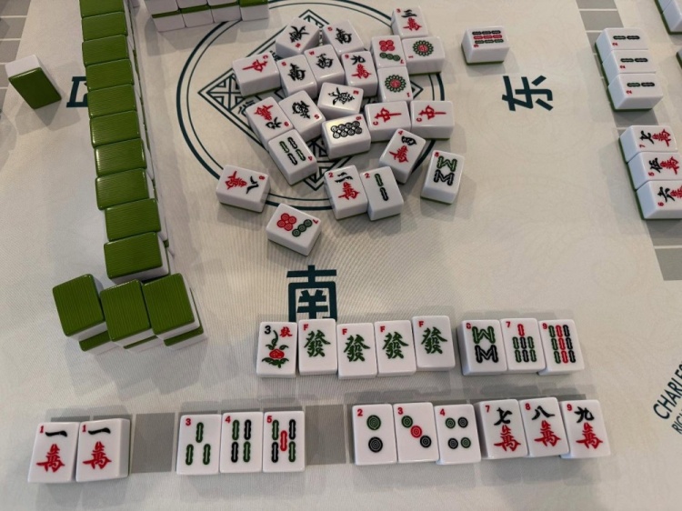 學(xué)習(xí)國粹！瓦妮莎打起了麻將 這麻將還是外國特供版